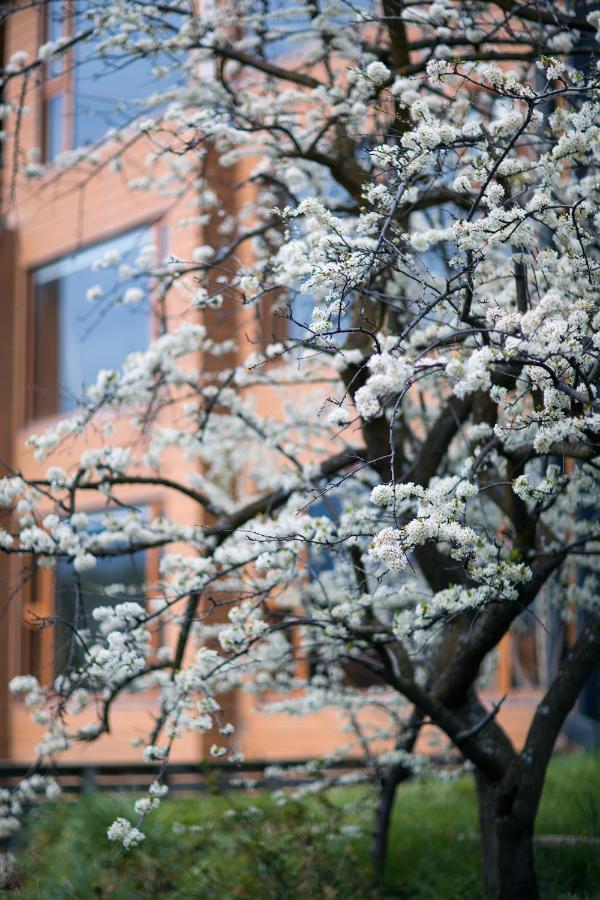 Nomades Hotel Boutique Coyhaique Bagian luar foto