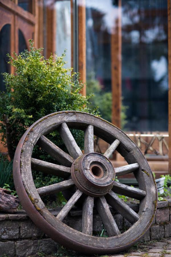 Nomades Hotel Boutique Coyhaique Bagian luar foto